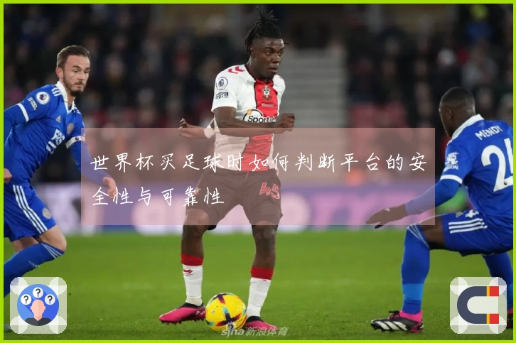 世界杯买足球时如何判断平台的安全性与可靠性