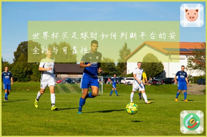 世界杯买足球时如何判断平台的安全性与可靠性