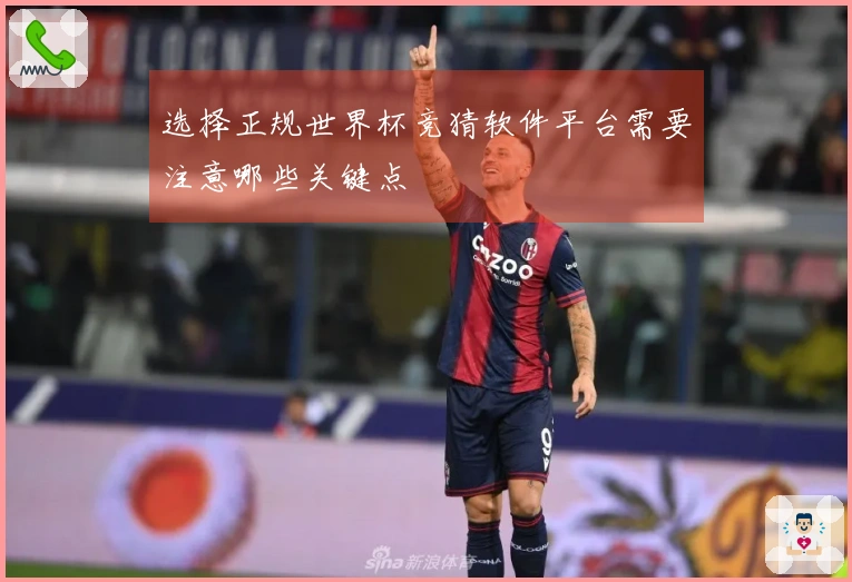 选择正规世界杯竞猜软件平台需要注意哪些关键点