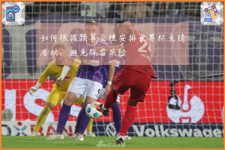 如何根据预算合理安排世界杯竞猜活动,避免踩雷风险